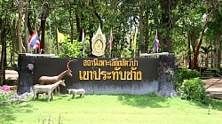 สวนสัตว์เขาประทับช้าง