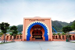 Camel Republic