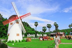 Swiss sheep Farm